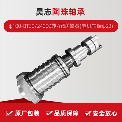 昊志/陶珠軸承/φ100-BT30/24000轉/配聯軸器(電機軸端φ22)